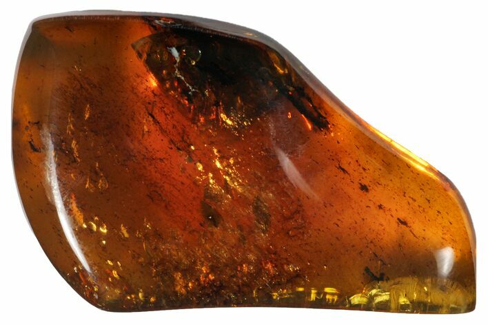 Polished Chiapas Amber ( g) - Mexico #114878